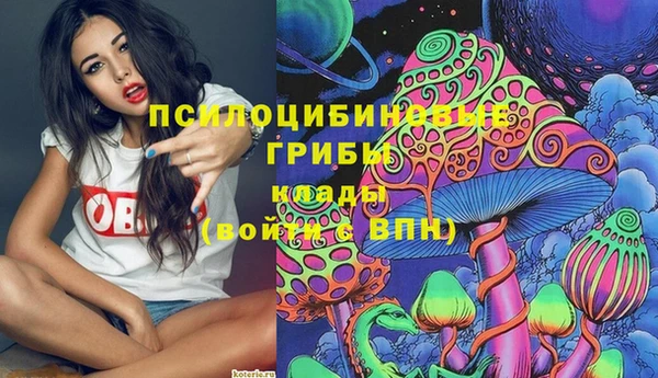 гидра Алексеевка