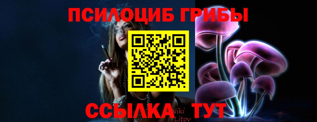 Куйбышев  Галлюциногенные грибы мухоморы  Вход с VPN 